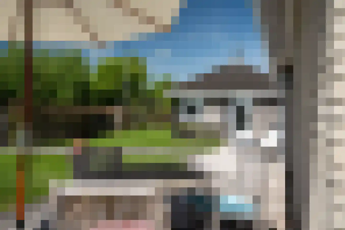 Snoekeblêd 11 Grou thumbnail 18