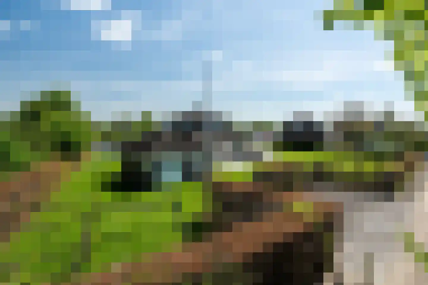 Snoekeblêd 11 Grou thumbnail 4