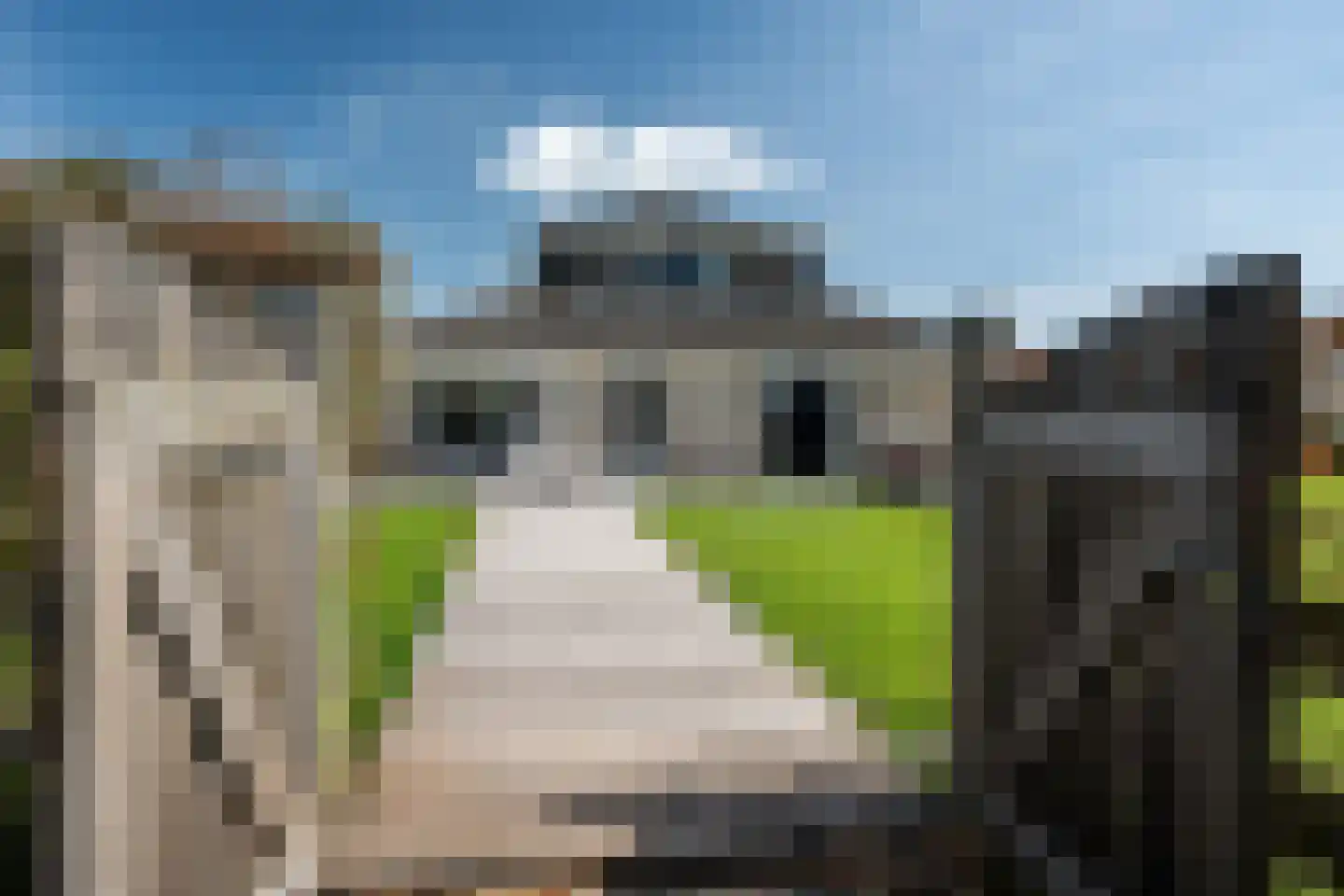 Snoekeblêd 11 Grou thumbnail 5