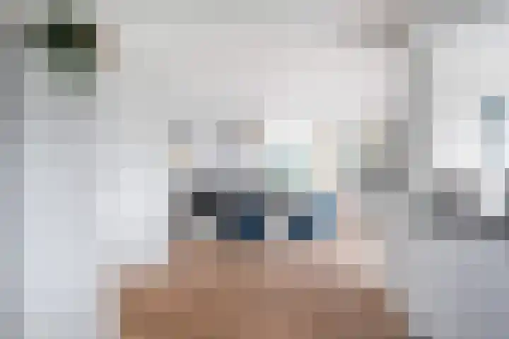Snoekeblêd 12 Grou thumbnail 12