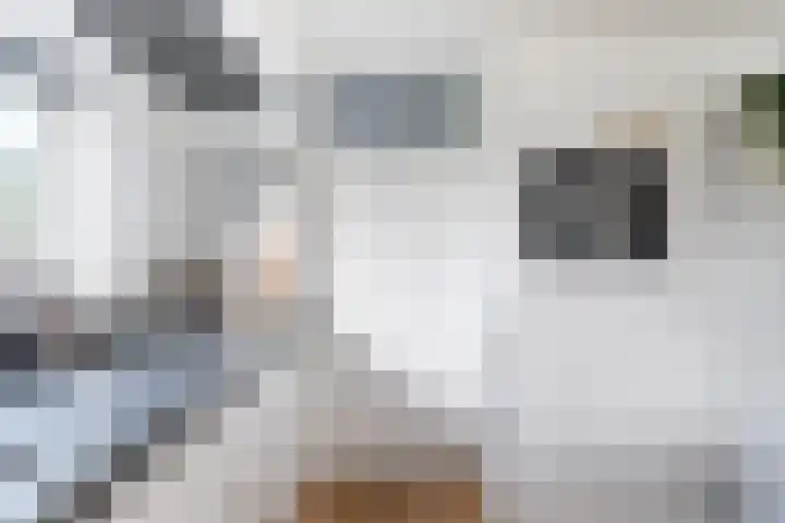 Snoekeblêd 12 Grou thumbnail 16