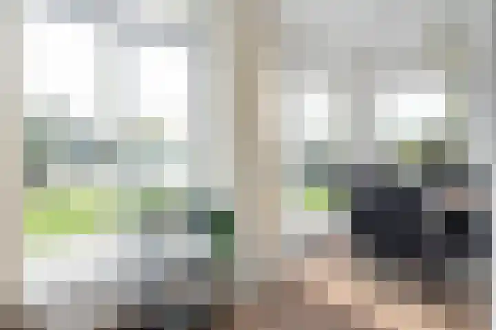 Snoekeblêd 12 Grou thumbnail 17