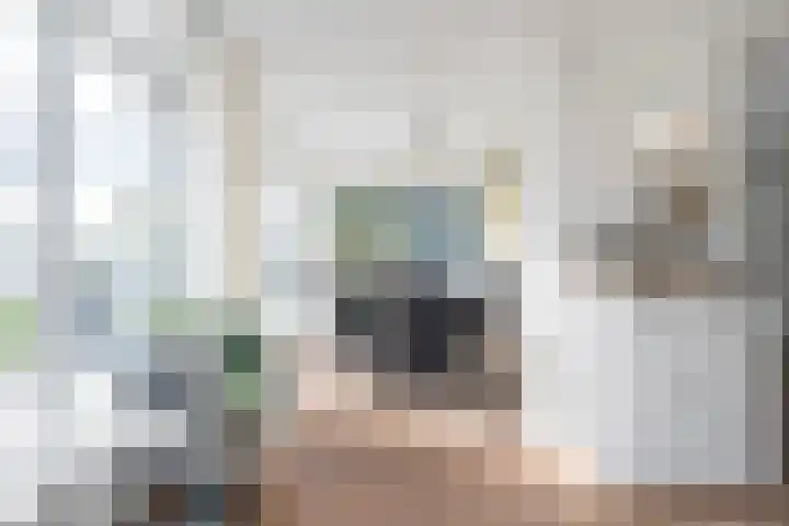 Snoekeblêd 12 Grou thumbnail 18