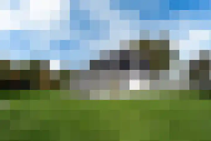 Snoekeblêd 12 Grou foto 2