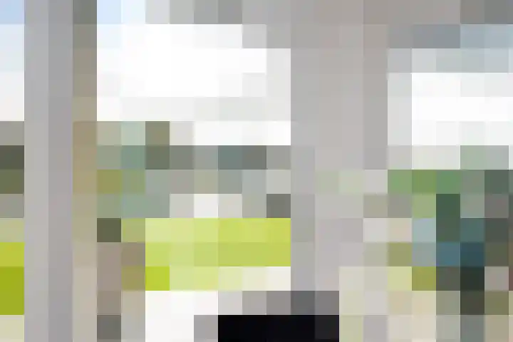 Snoekeblêd 12 Grou thumbnail 20