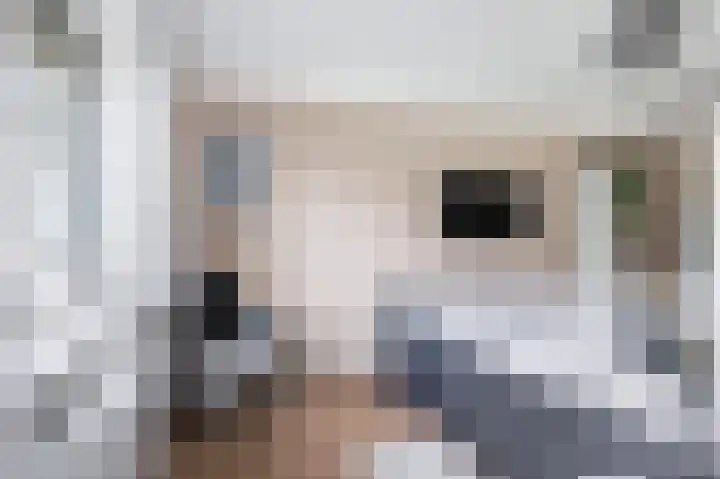 Snoekeblêd 12 Grou thumbnail 25