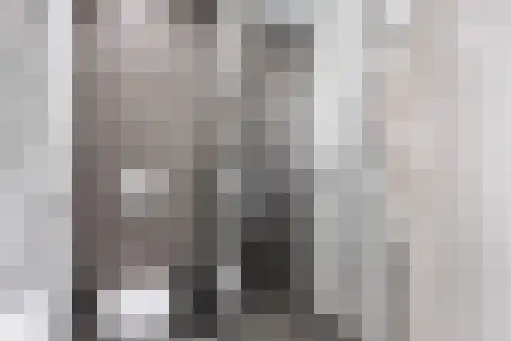 Snoekeblêd 12 Grou thumbnail 30