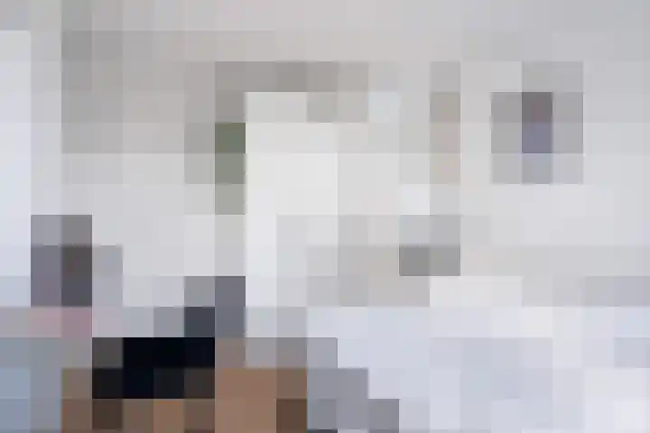Snoekeblêd 12 Grou thumbnail 33