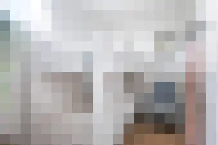 Snoekeblêd 12 Grou thumbnail 36