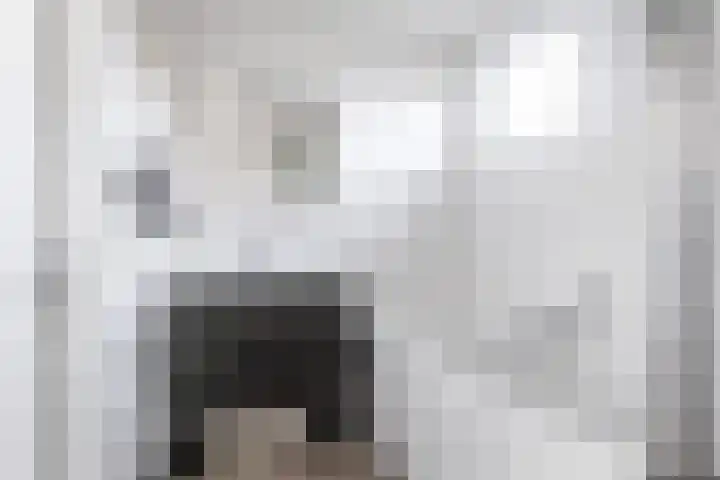 Snoekeblêd 12 Grou thumbnail 38