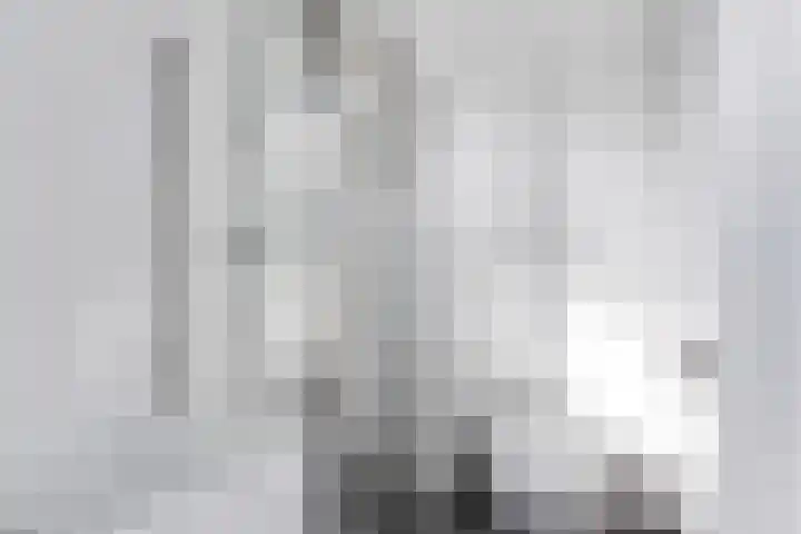Snoekeblêd 12 Grou thumbnail 39