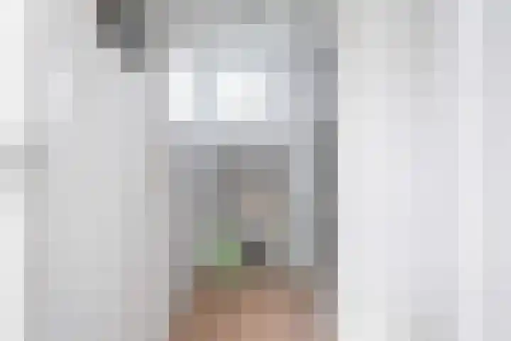 Snoekeblêd 12 Grou thumbnail 40