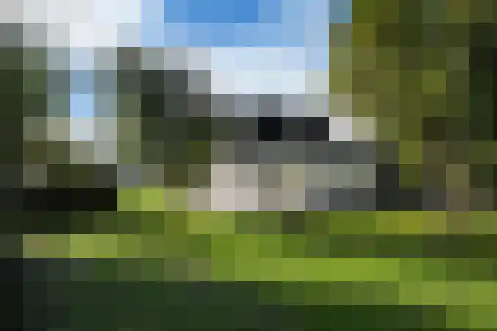 Snoekeblêd 12 Grou thumbnail 41
