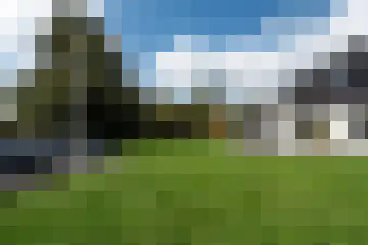 Snoekeblêd 12 Grou thumbnail 42