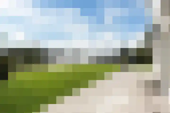 Snoekeblêd 12 Grou thumbnail 44