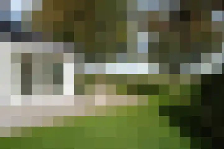 Snoekeblêd 12 Grou thumbnail 45
