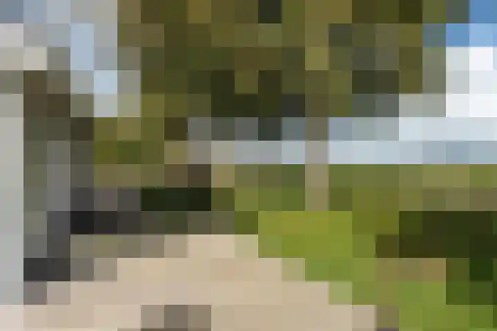 Snoekeblêd 12 Grou thumbnail 46