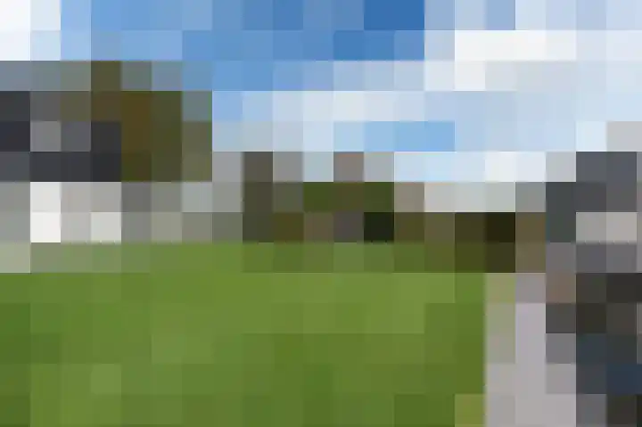Snoekeblêd 12 Grou thumbnail 47