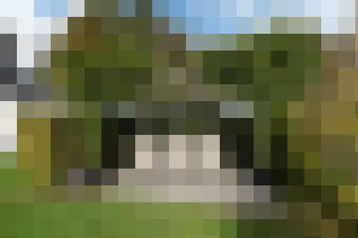 Snoekeblêd 12 Grou thumbnail 48