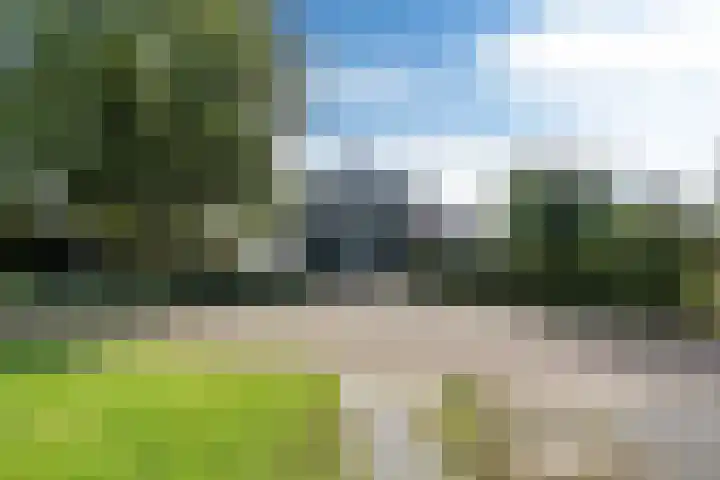 Snoekeblêd 12 Grou thumbnail 49