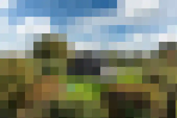 Snoekeblêd 12 Grou thumbnail 50