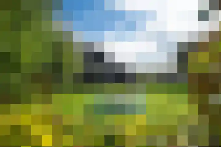 Snoekeblêd 12 Grou thumbnail 51