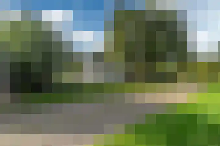 Snoekeblêd 12 Grou thumbnail 53
