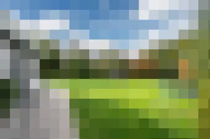 Snoekeblêd 12 Grou thumbnail 54