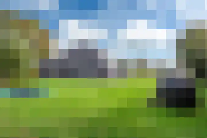 Snoekeblêd 12 Grou thumbnail 55