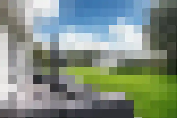 Snoekeblêd 12 Grou thumbnail 56