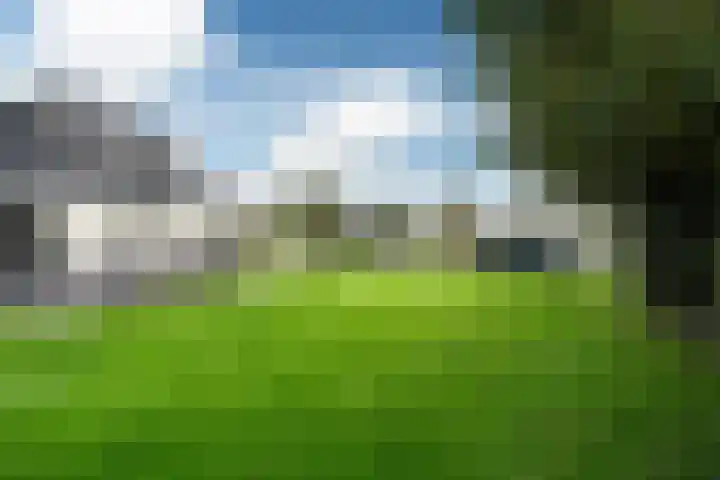 Snoekeblêd 12 Grou thumbnail 57