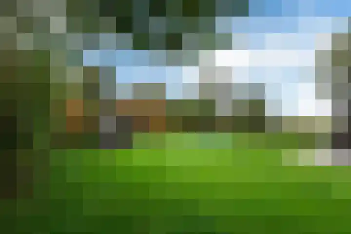 Snoekeblêd 12 Grou thumbnail 58