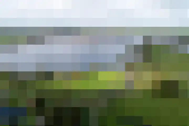 Snoekeblêd 12 Grou thumbnail 62