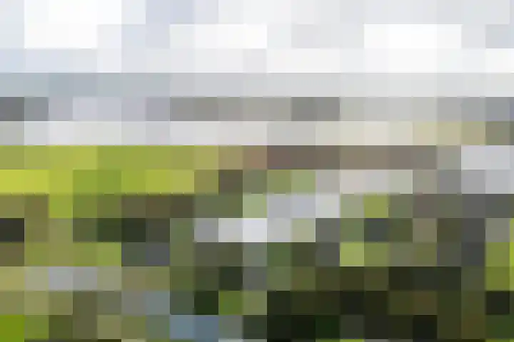 Snoekeblêd 12 Grou thumbnail 63