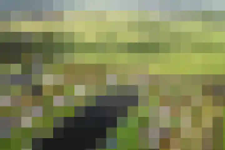 Snoekeblêd 12 Grou thumbnail 64