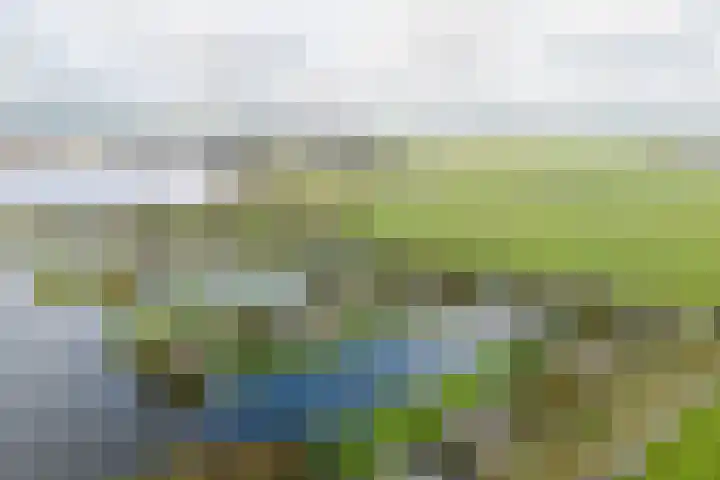 Snoekeblêd 12 Grou thumbnail 65