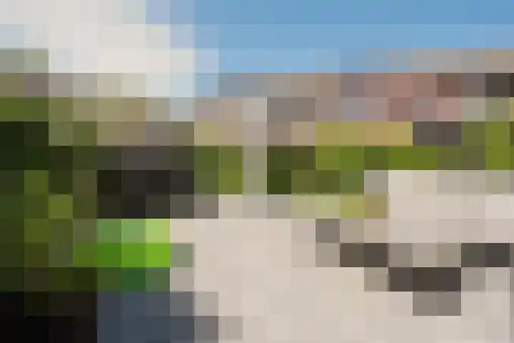 Snoekenveen 102 Spijkenisse thumbnail 11