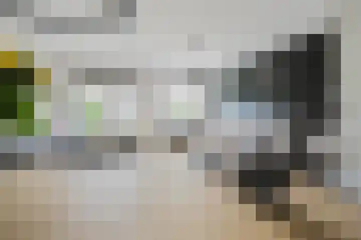 Snoekenveen 102 Spijkenisse thumbnail 14