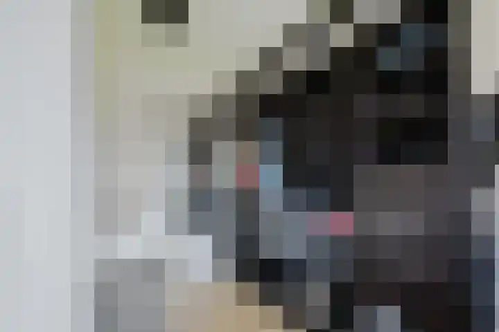 Snoekenveen 102 Spijkenisse thumbnail 21