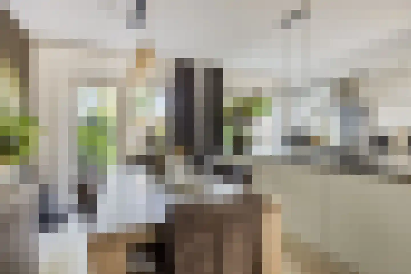 Snoekenveen 121 Spijkenisse thumbnail 12