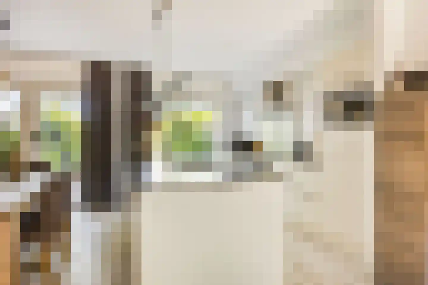 Snoekenveen 121 Spijkenisse thumbnail 13
