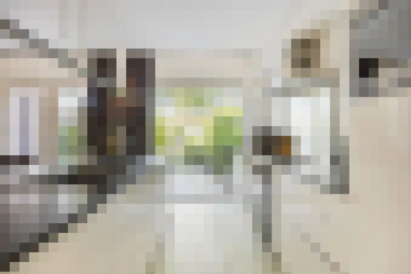 Snoekenveen 121 Spijkenisse thumbnail 14