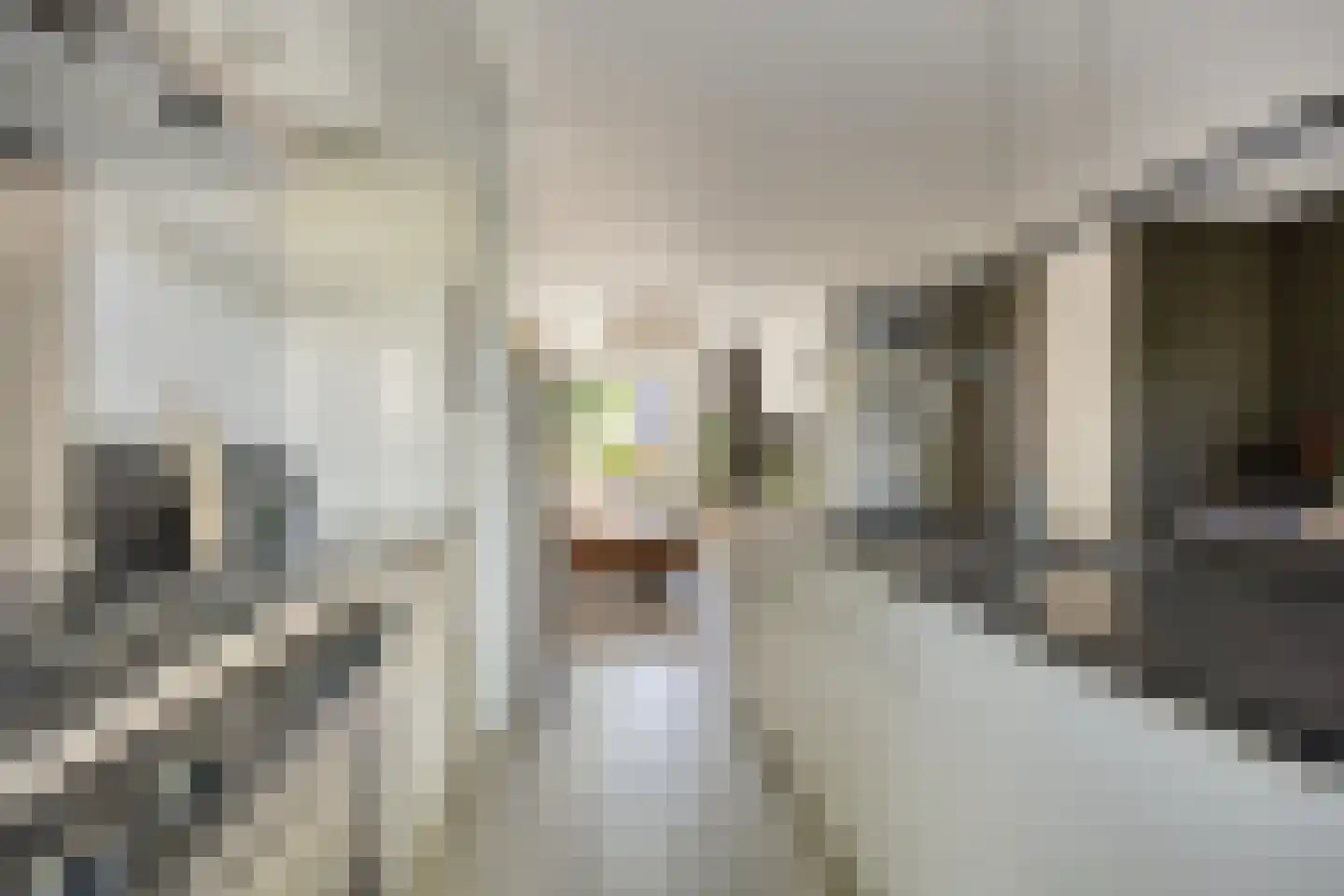 Snoekenveen 121 Spijkenisse thumbnail 15