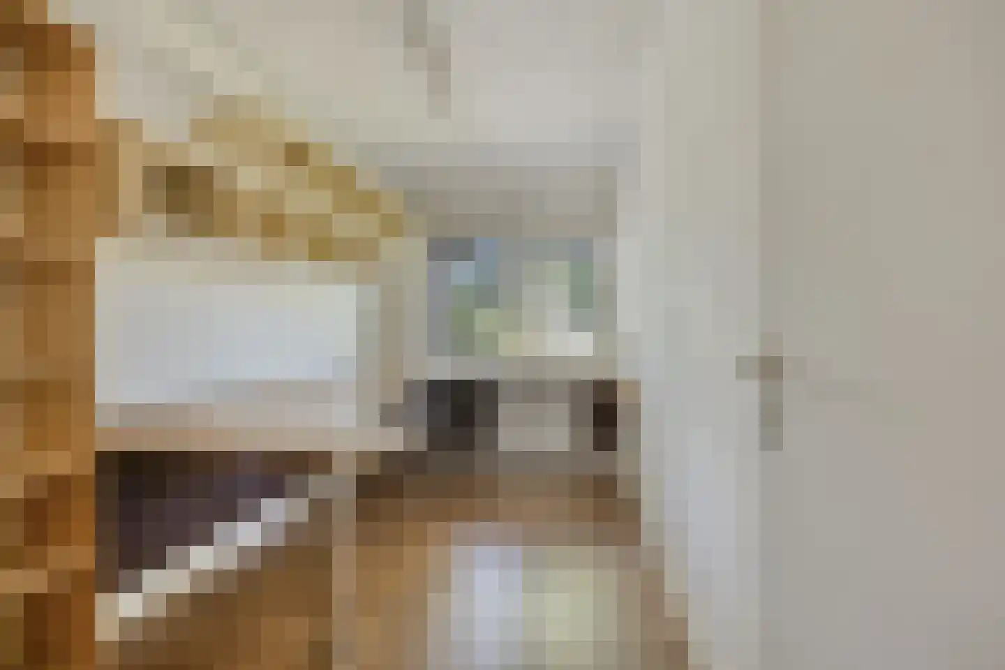 Snoekenveen 121 Spijkenisse thumbnail 23