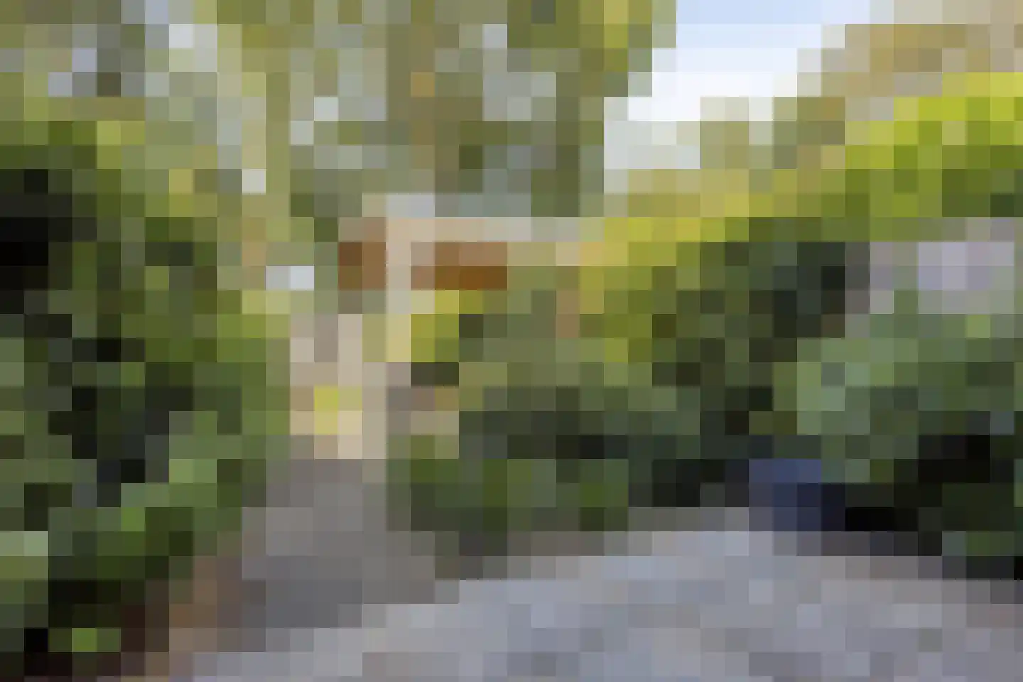 Snoekenveen 121 Spijkenisse thumbnail 28