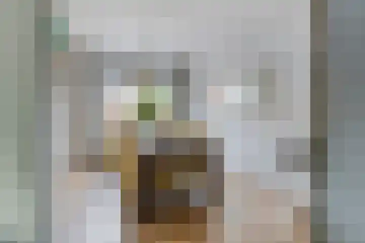 Snoekenveen 136 Spijkenisse thumbnail 12