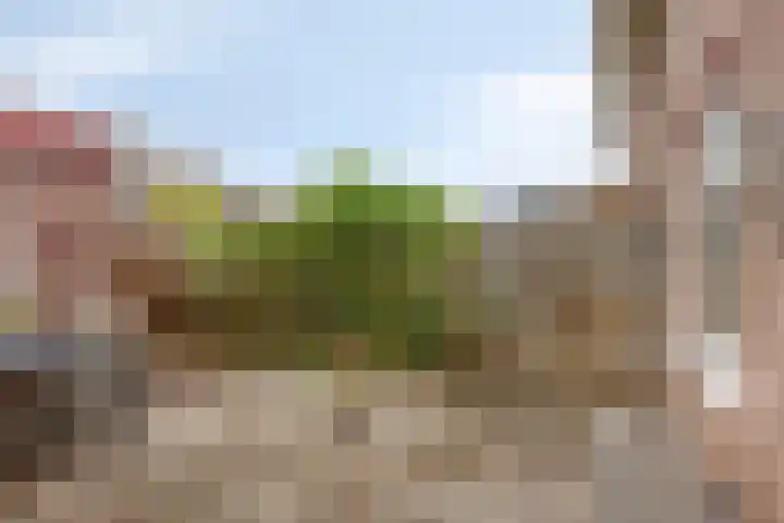 Snoekenveen 136 Spijkenisse thumbnail 29