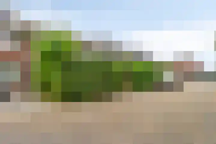 Snoekenveen 136 Spijkenisse thumbnail 5