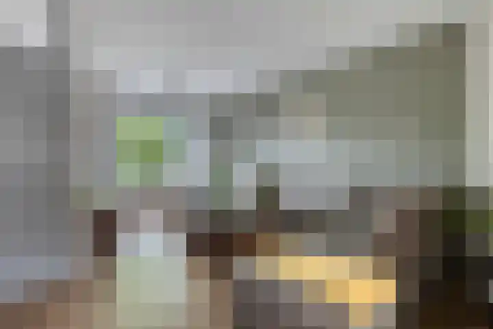 Snoekenveen 136 Spijkenisse thumbnail 8