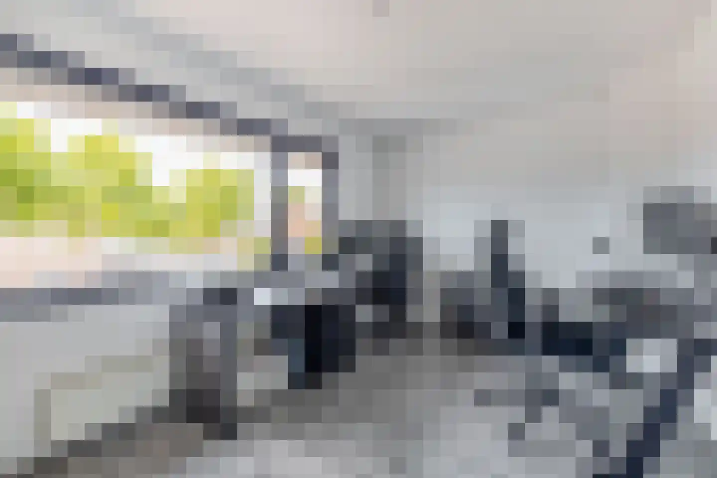 Snoekenveen 202 Spijkenisse thumbnail 22